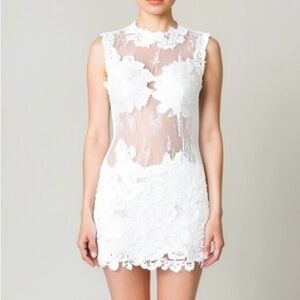 Issue New York White Lace Appliqué Sheer Mini Dress